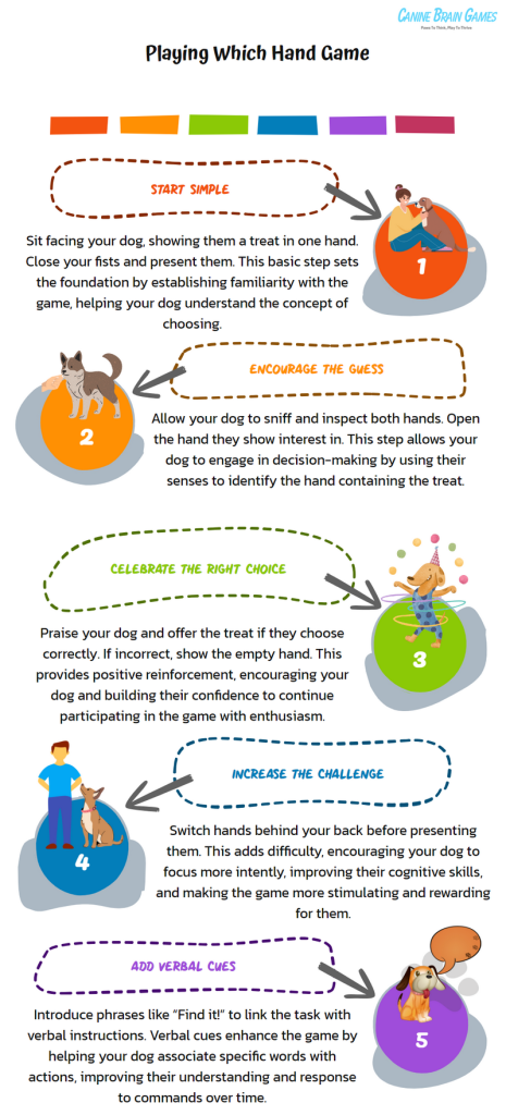 Infographic illustrating how to play the Which Hand Game with a dog, featuring step-by-step instructions and playful graphics of a person and a dog engaging in the game.