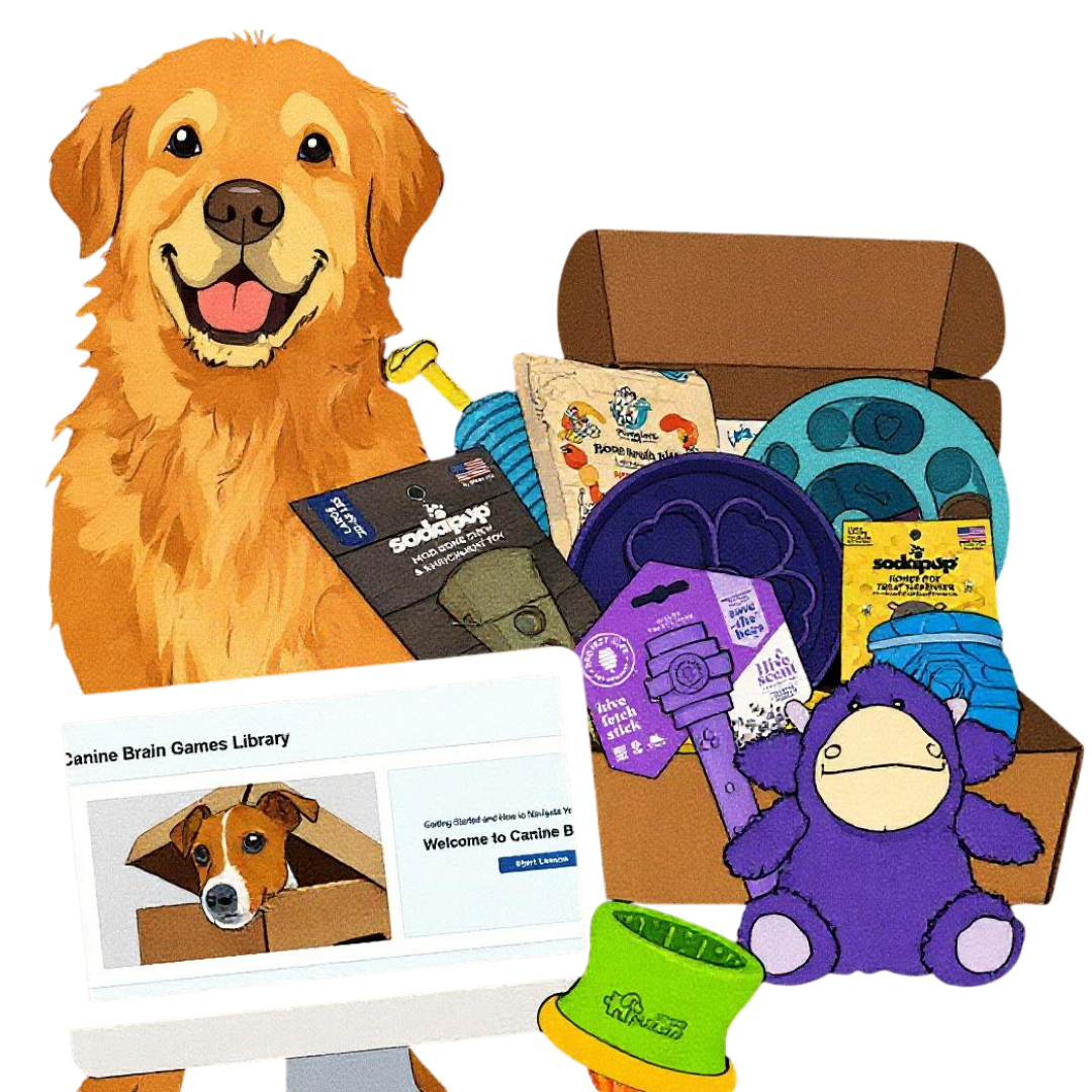 cartoon dog with subscription box