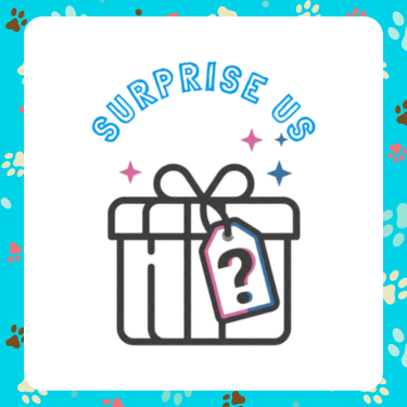 Surprise Us