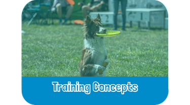 training concepts