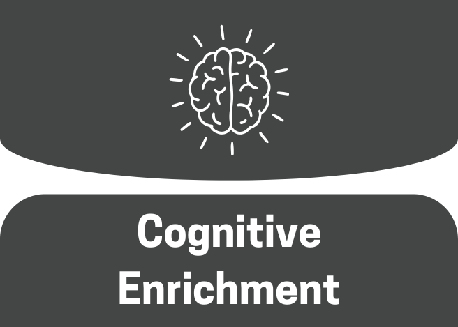 cognitive games