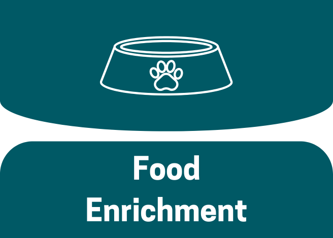 food enrichment