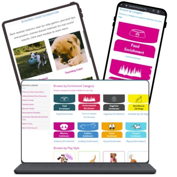 100+ Activities and Lessons
